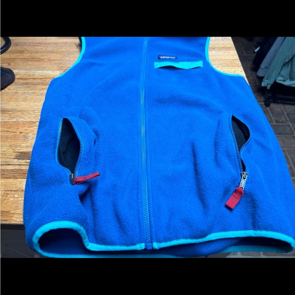 Blue and Teal Patagonia fleece vest